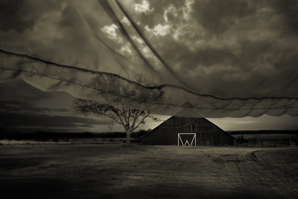 Photograph Angela Bacon Kidwell Beyond Memory on One Eyeland